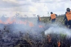 Jambi Masuk Daftar Daerah Rawan Karhutla, Tiga Kabupaten Paling Rentan