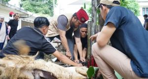 Momen Idul Adha, Sekretariat DPRD Kota Jambi Berkurban
