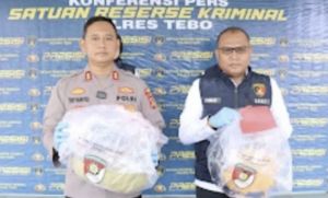 Oknum Pengasuh Ponpes di Tebo Diduga Cabuli Sejumlah Santriwati, Begini Modusnya