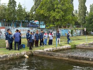 Desa Lopak Alai Bersiap Jadi Sentra Pembibitan Patin