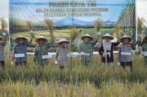 Gubernur Al Haris Hadiri Panen Raya TNI di Desa Kota Baru Geragai