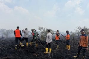 Bukan Cuma Pemadaman, Tata Air Gambut Harus Jadi Pertahanan Pertama Hadapi Karhutla