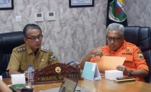 Ratusan Hektare Lahan Terbakar, Muaro Jambi Tetapkan Status Tanggap Darurat Karhutla