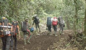 Jalur Pendakian 9 Taman Nasional Ditutup Sementara, Termasuk TNKS