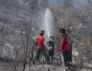 Dua Waterbombing Disiapkan Atasi Karhutla di Kawasan Tahura Batang Hari