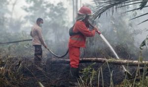 86 Hektare Lahan Terbakar di Londerang Berhasil Dikuasai, Masih Proses Pendinginan
