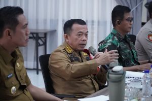 Operasi Darat dan Udara Diperkuat Tangani Karhutla di Batang Hari Agar Tak Meluas