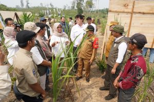 Menhut Raja Juli dan Gubernur Tinjau Konservasi Gajah dan Hutan Desa di Jambi