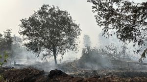 Udara Sejumlah Daerah di Jambi Dalam Level Berbahaya Dampak Karhutla