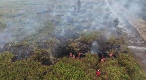 32 Perusahaan Kena Sanksi Terkait Karhutla, Dua Beroperasi di Jambi 